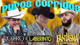 El Fantasma Grupo Laberinto Potro Sinaloa  Puros Corridos [upl. by Herb]