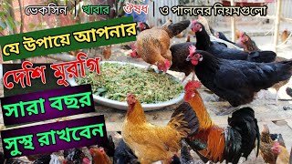 যে উপায়ে আপনার দেশি মুরগি সারা বছর সুস্থ রাখবেন deshimorgifarm chickenfarm [upl. by Amelus541]