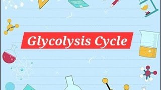 GLYCOLYSIS CYCLEEasy way to learn glycolysis [upl. by Demmer]