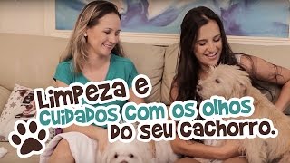 Limpeza e cuidados com os olhos do seu cachorro  Ju Almeida Pet [upl. by Annij]