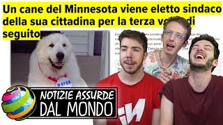 UN CANE ELETTO SINDACO PER 3 VOLTE  Notizie assurde dal mondo 16 [upl. by Albertine493]