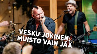 Vesku Jokinen – Muisto vain jää  Vain elämää [upl. by Elayne]