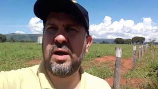 Fazenda a venda em Buritis MG com outorga para irrigar 40 hectares [upl. by Flori]