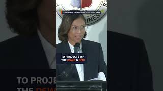 House panel slashes proposed 2025 budget of Sara Dutertes OVP by P13 billion [upl. by Cirilo]