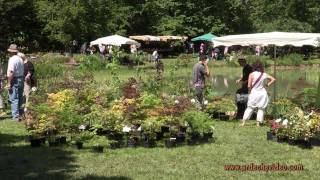 Ardèche  Grospierre plantes et fleurs en fête [upl. by Madigan]