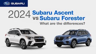 2024 Subaru Ascent vs 2024 Subaru Forester  What Are The Differences [upl. by Leerzej983]