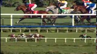 2005 WOODBINE MILE [upl. by Hsur368]