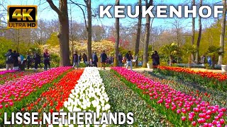 🇳🇱Keukenhof 2022 4K  LisseNetherlands  The Garden of Europe [upl. by Ramoh641]