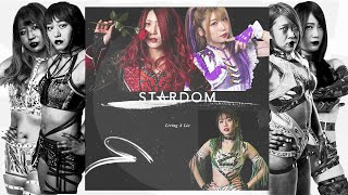 MEP Living A Lie World Wonder Ring Stardom TributeMV [upl. by Rehm143]