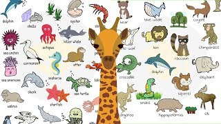 Learn 200 Common Animals in English in 25 Minutes [upl. by Frederigo]