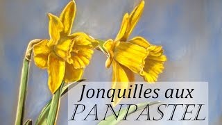 Jonquilles aux PanPastel Démo pastel sec [upl. by Ayekal]