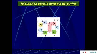 Nucleotidos Bioquímica [upl. by Aurel184]