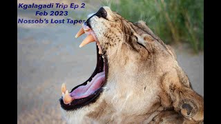 Kgalagadi Trip Ep 2 Nossobs Lost Tapes [upl. by Aetnahs950]