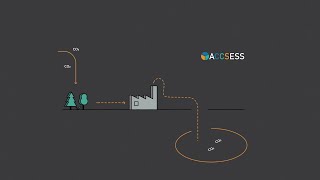 Are plants the key to succeeding with carbon dioxide removal CDR [upl. by Acisej]