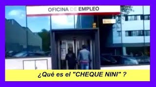 LA AYUDA PARA DESEMPLEADOS JÓVENES El Cheque Nini de 430 € [upl. by Yellac792]