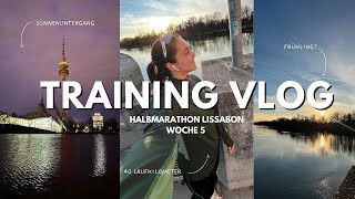 HALBMARATHON TRAINING  Woche 5 Krafttraining 40km Laufen Leistungsdruck [upl. by Zita]