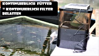 Futterautomat mit Solar installieren [upl. by Hannon218]