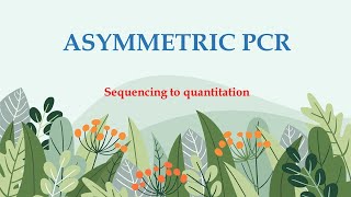 Asymmetric PCR  Single stranded DNA  ssDNA  Single primer  Sanger sequencing  Real time PCR [upl. by Fredenburg896]