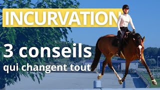 Incurvation  3 conseils pour améliorer lincurvation de son cheval [upl. by Eneli]