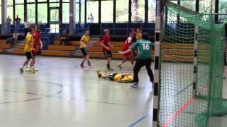 HC MannheimNeckarau  Handball Montage 2 [upl. by Galatea704]