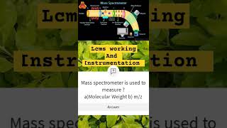 Mass Spectrometry I Principle and Instrumentation I analyticalChemistry lcms massspectrometry [upl. by Anyt]