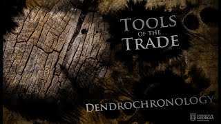 Dendrochronology  UGA Experimental Archaeology [upl. by Ferd]