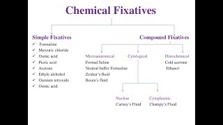 تحضير عينات Fixatives in Histopathology [upl. by Atsev]