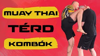 Muay Thai térd kombinációk  Zilai Sándor világbajnokkal [upl. by Mathew]