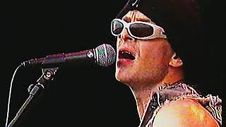 Rancid  Time Bomb live at Pinkpop Festival 1996 [upl. by Adehsor407]