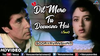 Dil Mere Tu Deewana HaiSad  Amitabh Bachchan amp Soundarya  Sooryavansham  Ishtar Music [upl. by Durante199]