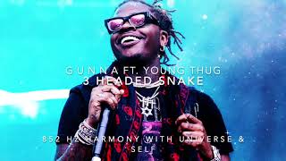 Gunna  3 Headed Snake 🐍 Ft Young Thug 852 Hz Harmony with Universe amp Self [upl. by Anotal844]