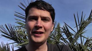 Exotic Gardening UK Yorkshire Kris Episode 62 [upl. by Ashely]