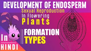 Double Fertilization Angiosperms  Plant Biology [upl. by Aicac950]