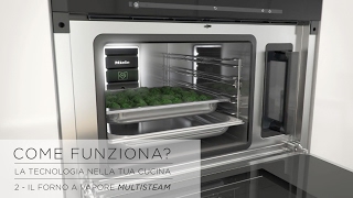 Come Funziona La scienza nella tua cucina  22 Il Forno a Vapore Multisteam [upl. by Osman813]