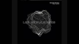 Christophe Dal Sasso Quintet  String Trio – Les Nébuleuses 2016  Album [upl. by Tandie]