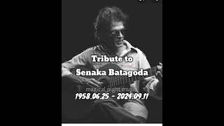 tribute to senaka batagoda [upl. by Suoinuj]