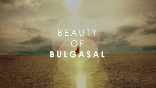 Beauty Of Bulgasal Immortal Souls 불가살 [upl. by Martz]