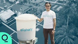 The Indonesian App That Can Grow More Fish [upl. by Glass340]