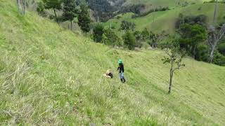 Salamina La Samaria San Felix Caldas Colombia Febrero 2019 [upl. by Nylaj]