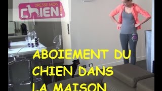 Vidéo du chien Pinscher nain qui aboie à la maison Territoire Eric Tramson [upl. by Norihs]