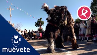 Las Carantoñas invaden de misterio y fervor las calles de Acehúche   Muévete [upl. by Otanutrof]