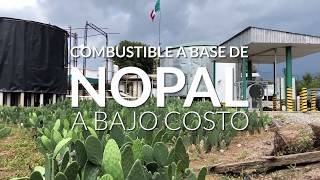 Nopalimex crea energía limpia y económica [upl. by Haerle]