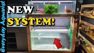 NEW Macroalgae Aquarium System DIY Fishhouse Build [upl. by Ainnek983]