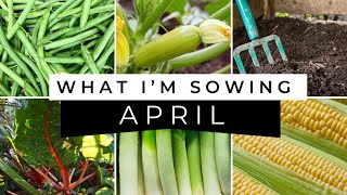 What Im Sowing in April Expert Allotment Advice [upl. by Romona]