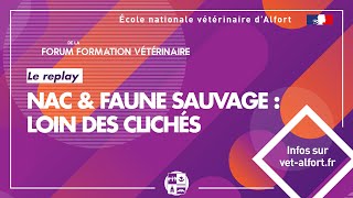 Conférence FFVET23 NAC Faune sauvage loin des clichés [upl. by Bouton]