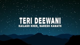 Teri Deewani Slowed  Reverb  Kailash Kher  Lofi edits [upl. by Airtina]