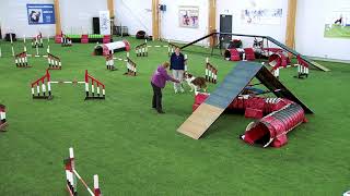 International Agility Training Week  Make reading the course easy for your dog  preview [upl. by Oruntha]