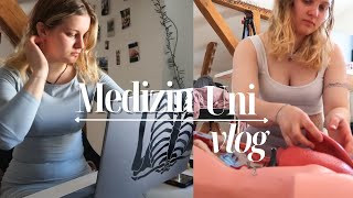 Das Ergebnis vom ersten Testat im zweiten Semester  Medizin Uni Vlog   Situs im Präp Kurs❤🤕 [upl. by Goddart430]