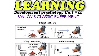 LEARNING  According to Psychology how do we learn amp give response to a stimulus  PavlovExperiment [upl. by Gianni]