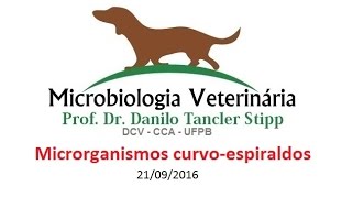 Micro Vet 20161 Aula 09  Microrganismos Curvoespiralados [upl. by Kizzee118]